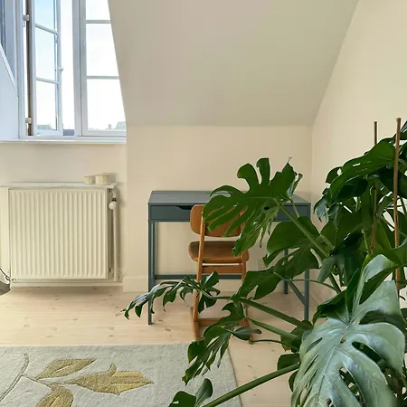 Two-storey In Lively District Copenhague